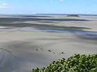 MONT SAINT MICHEL: Odliv
